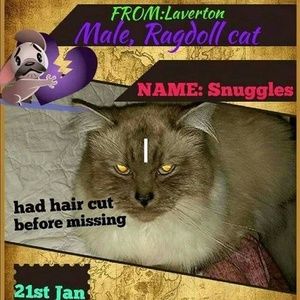 Meet your Posher, Sandy